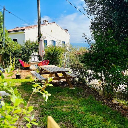 La Cave Marine Du Trottel Lägenhet Ajaccio  Exteriör bild